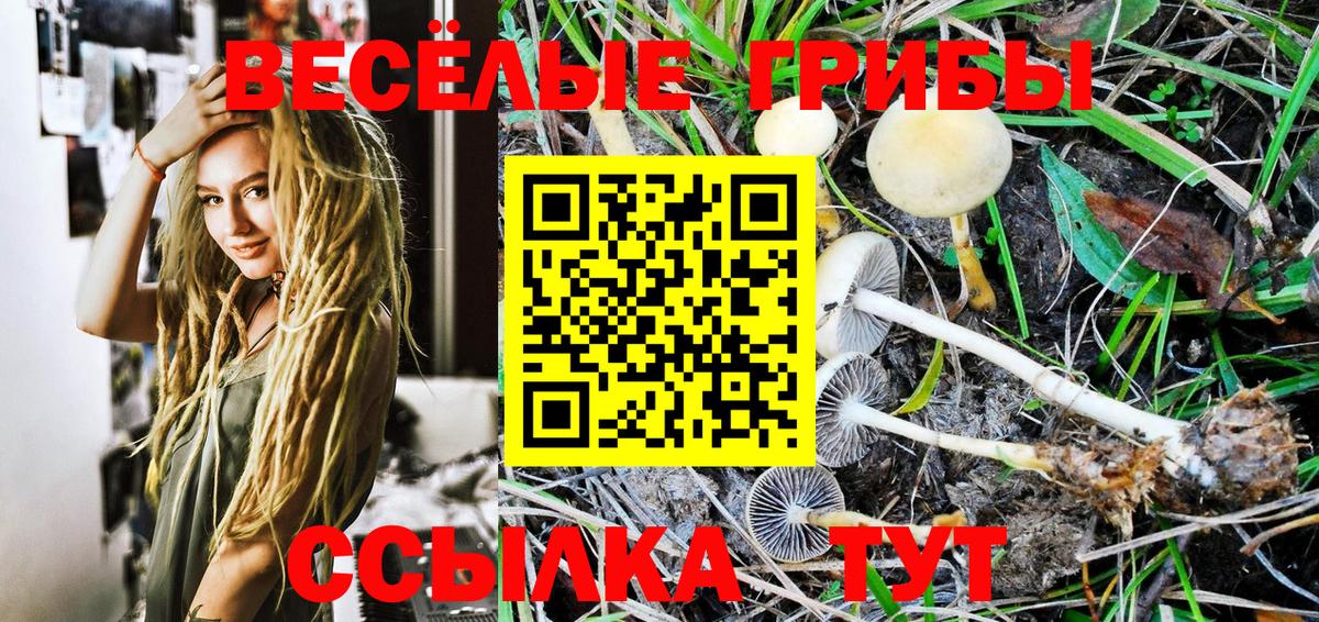Галлюциногенные грибы Psilocybe  Вход с VPN  как найти наркотики  Новосибирск 