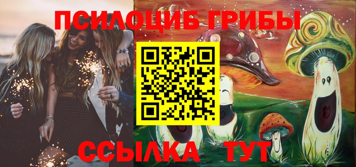Псилоцибиновые грибы Psilocybe Новосибирск