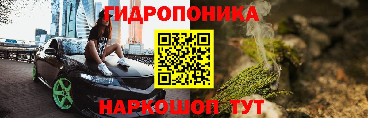 Шишки марихуана SATIVA & INDICA  Вход с VPN  Бошки марихуана план  Новосибирск 